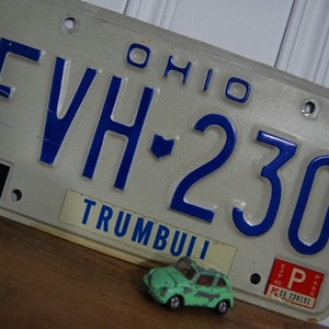 Vintage License Plate FVH 230