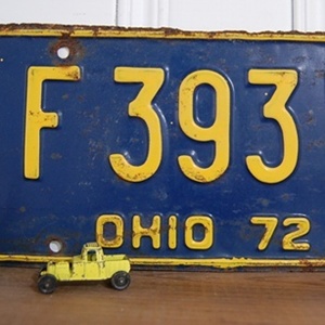 Vintage License Plate F393W
