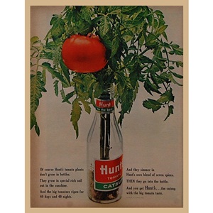 1963&#039; Hunt&#039;s plants